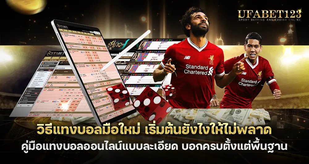 วิธีแทงบอลมือใหม่ เริ่มต้นยังไงให้ไม่พลาด คู่มือแทงบอลออนไลน์แบบละเอียด